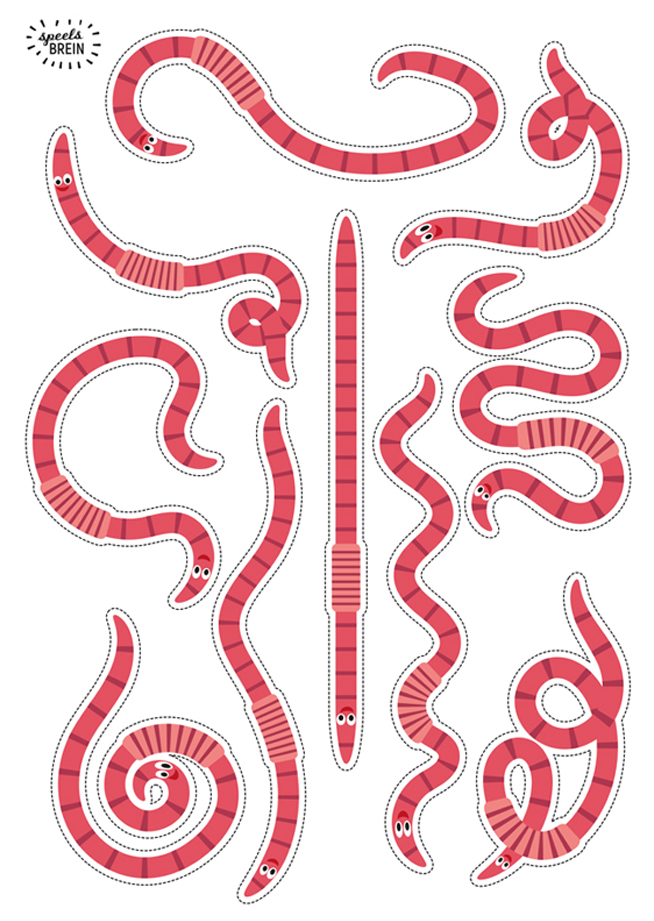 speelsbrein-illustratie-knipblad-wormen-doeboek-grafisch-ontwerp-pietje-precies-02