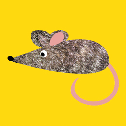 speelsbrein-speelkaartjes-muis-grafisch-ontwerp-pietje-precies