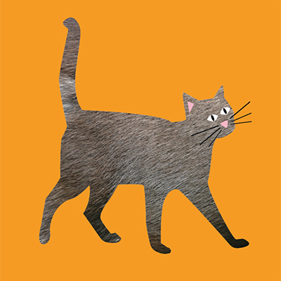 speelsbrein-speelkaartjes-poes-grafisch-ontwerp-pietje-precies