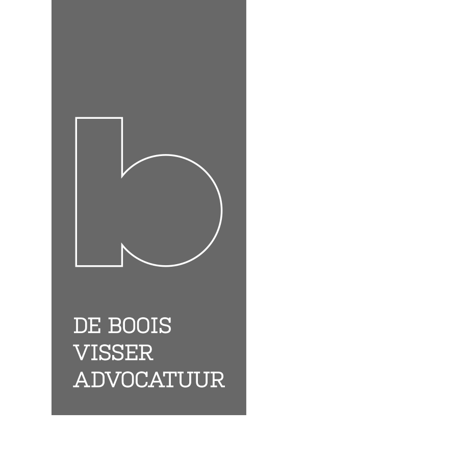 DeBooisVisser_Advocaten_logo_04 grafisch ontwerp logo design De Boois Visser advocatuur
