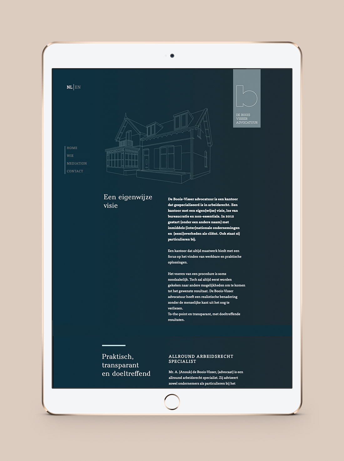 debooisvisseradvocatuur-website-grafisch-ontwerp-pietje-precieskopie