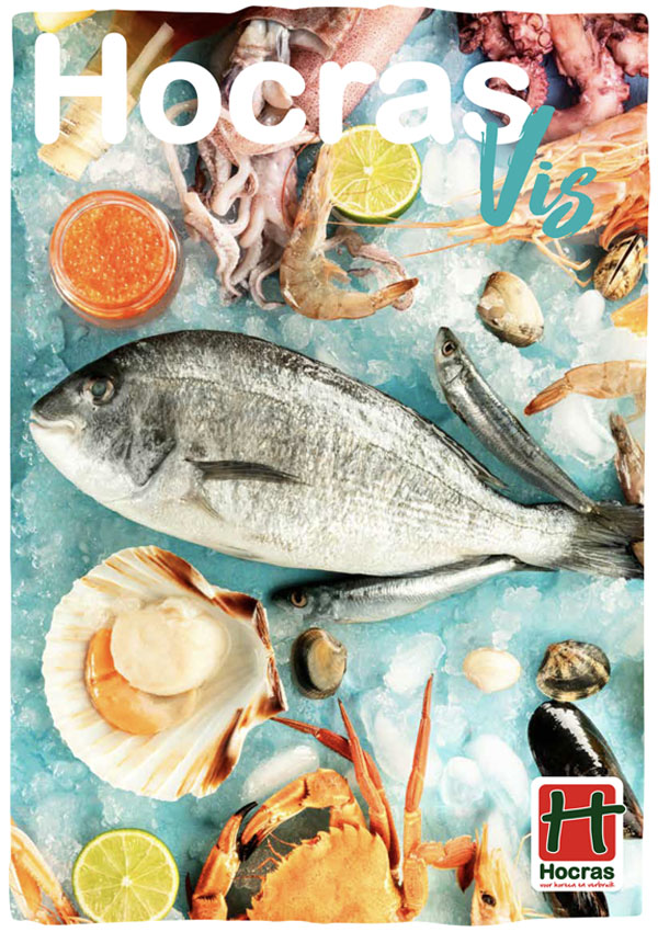 grafisch ontwerp vis brochure Hocras